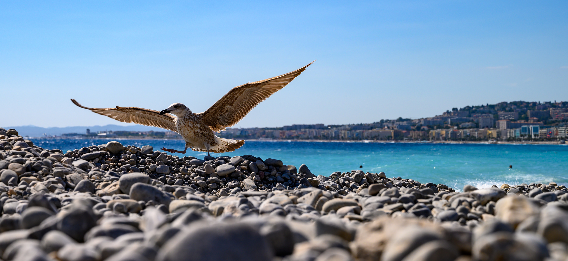 Flug in Nizza