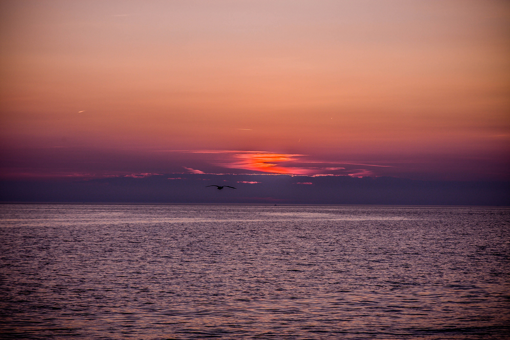 Flug ins Abendrot