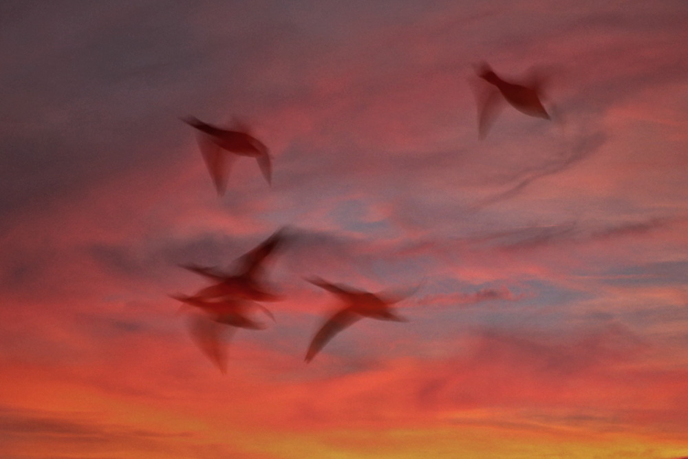 Flug ins Abendrot