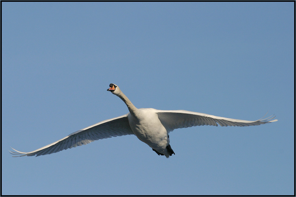 Flug ins Blaue