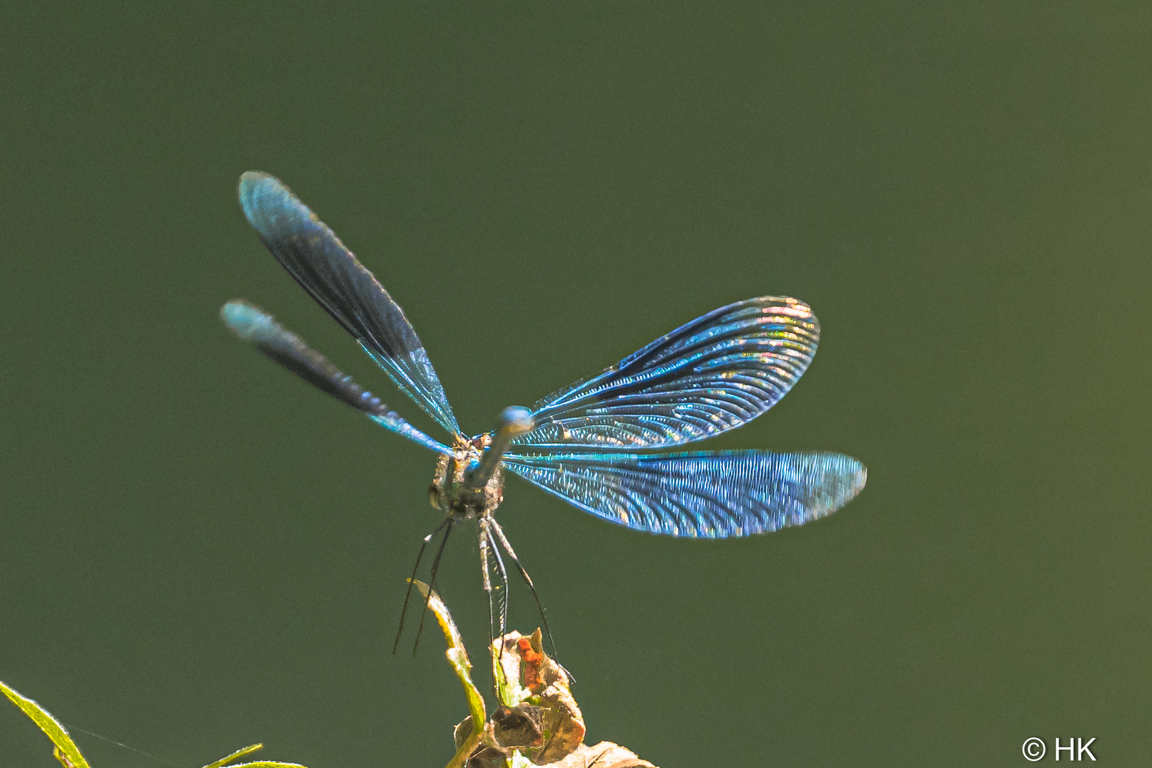 Flug ins blaue....