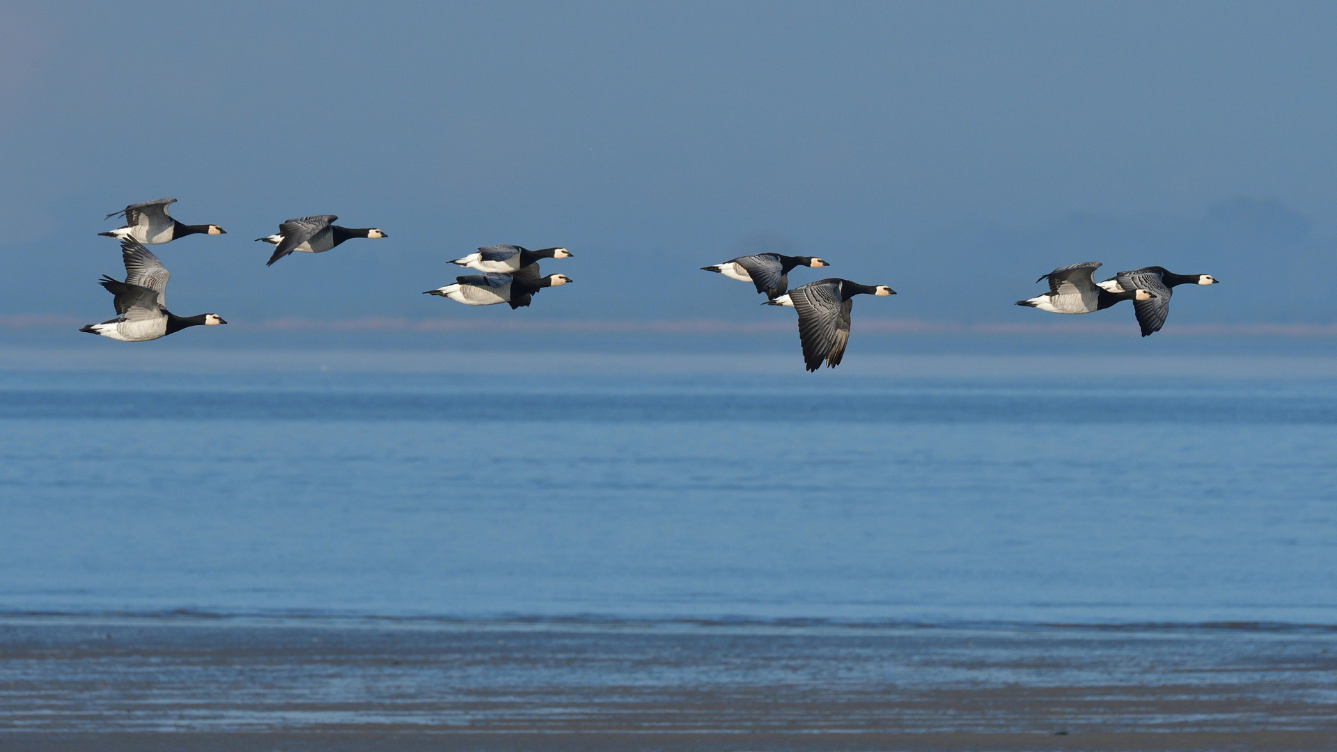 Flug ins Blaue