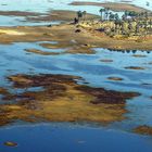 Flug ins Okavango Delta