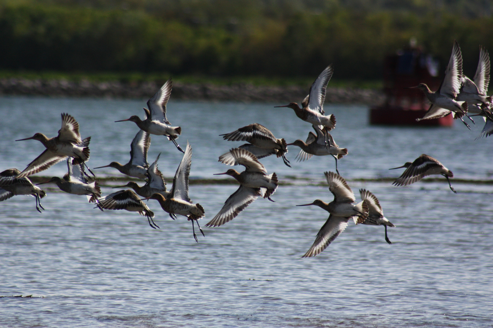 Flug ins Ungewisse