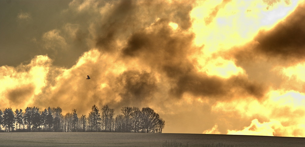 Flug ins Ungewisse