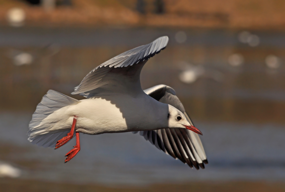 Flug ins Wochenende