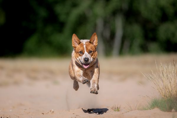 Flug ins Wochenende!