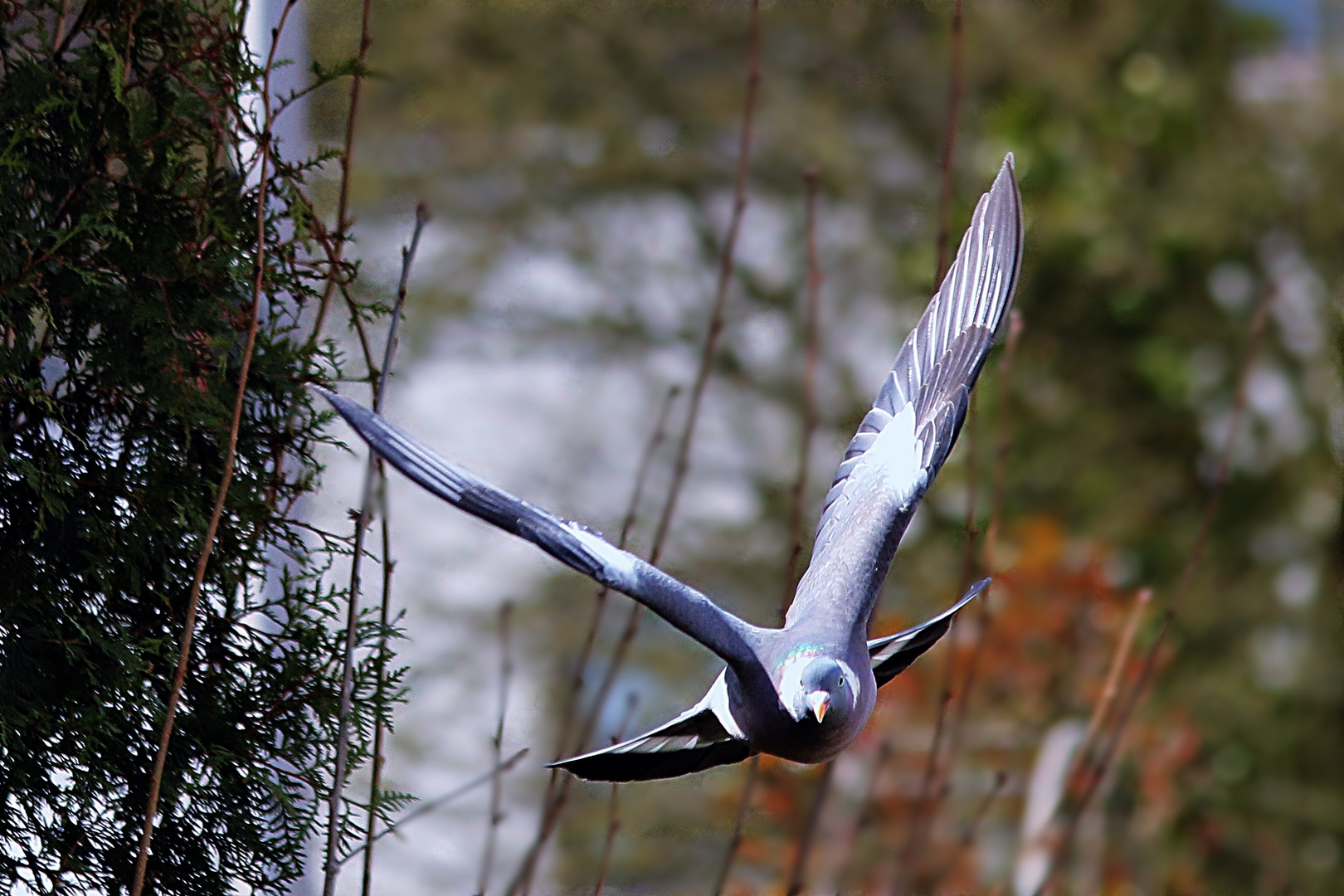 Flug ins Wochenende