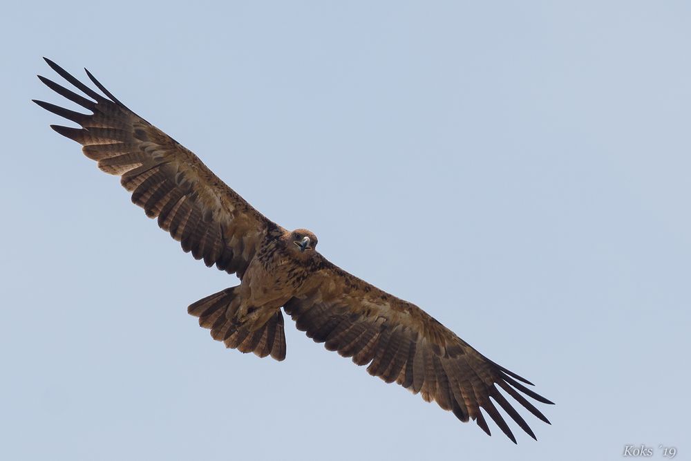 Flug in´s Wochenende