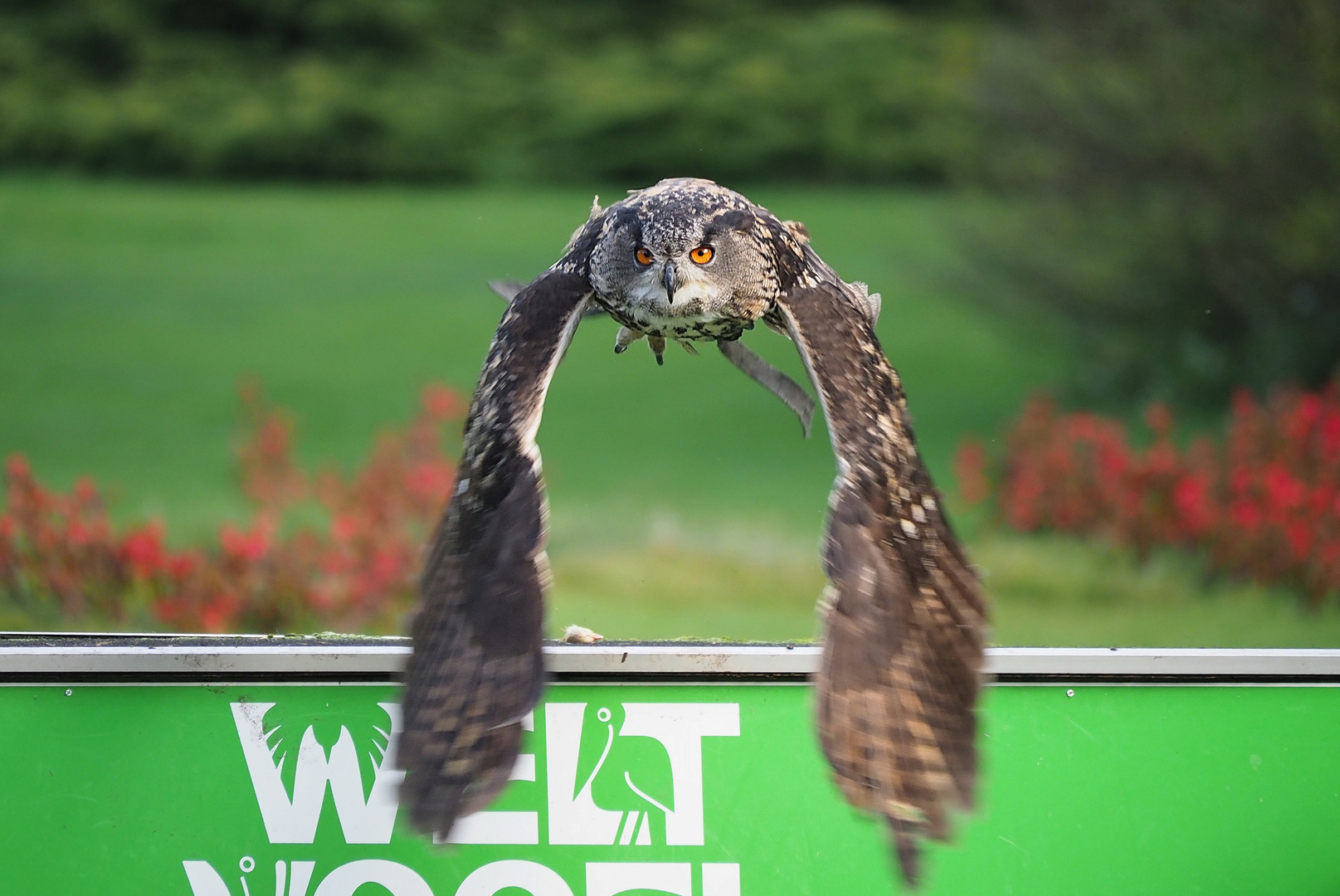 Flug ins Wochenende