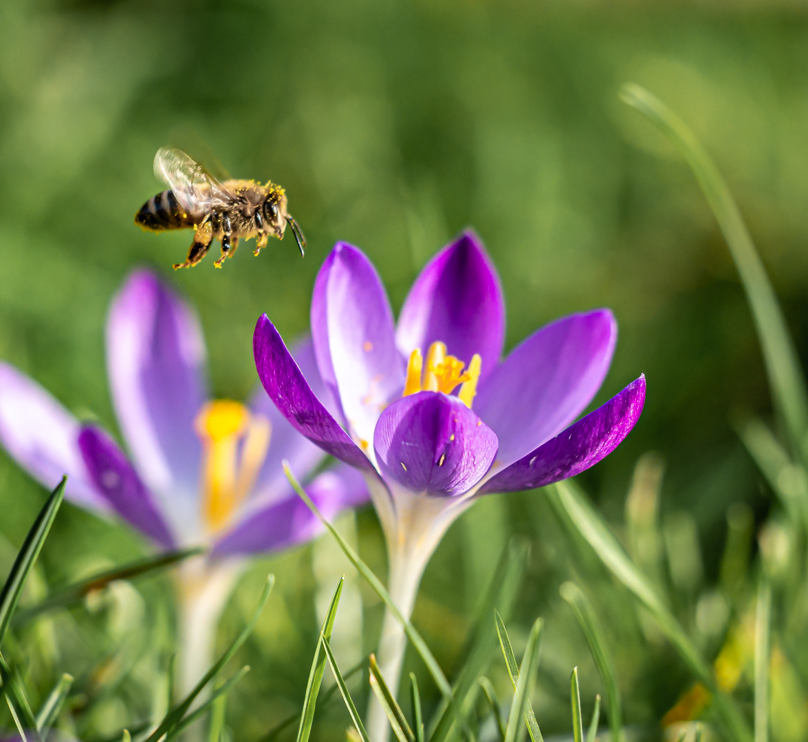 Flug ins Wochenende ...