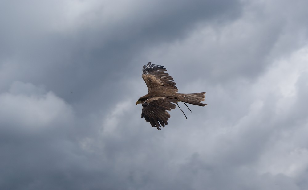 Flug ins Wochenende...