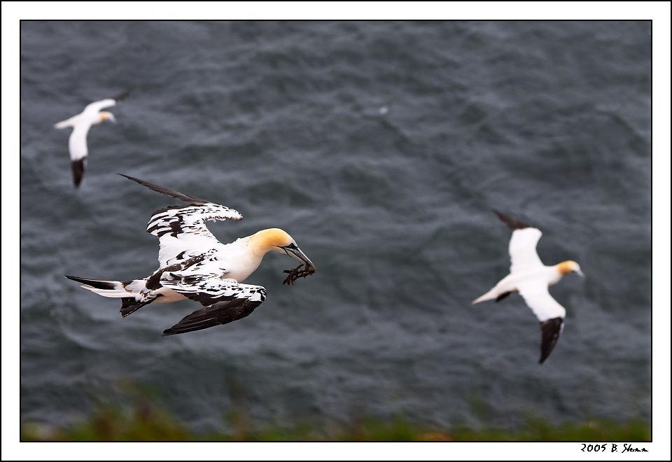 Flug mit Ballast