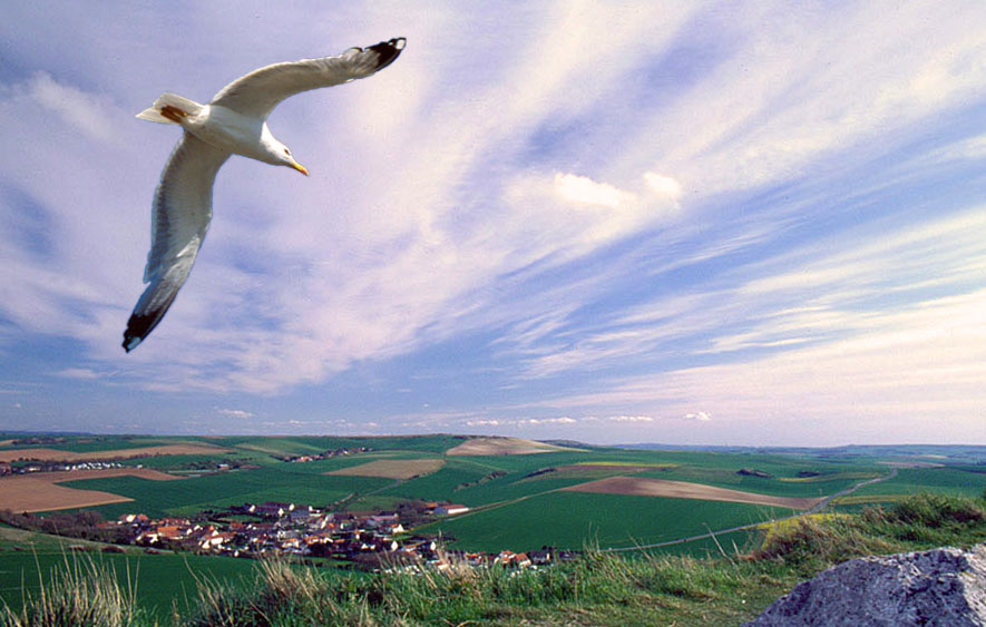 Flug nach Escalles