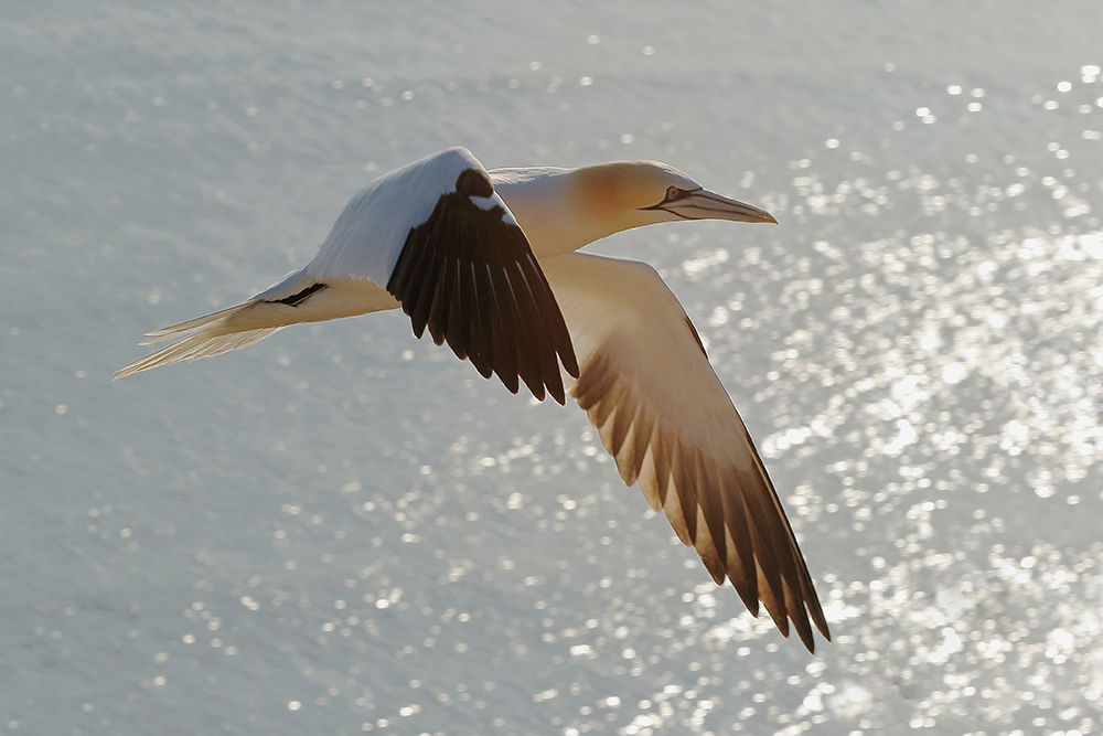 Flug nach nirgendwo