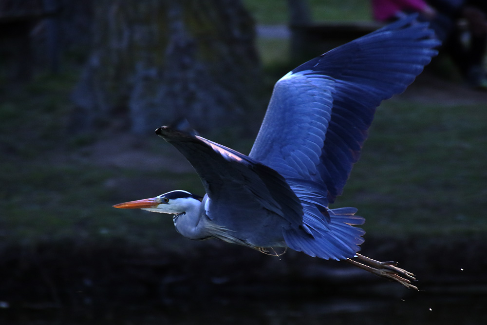 Flug nach Sonnenuntergang......