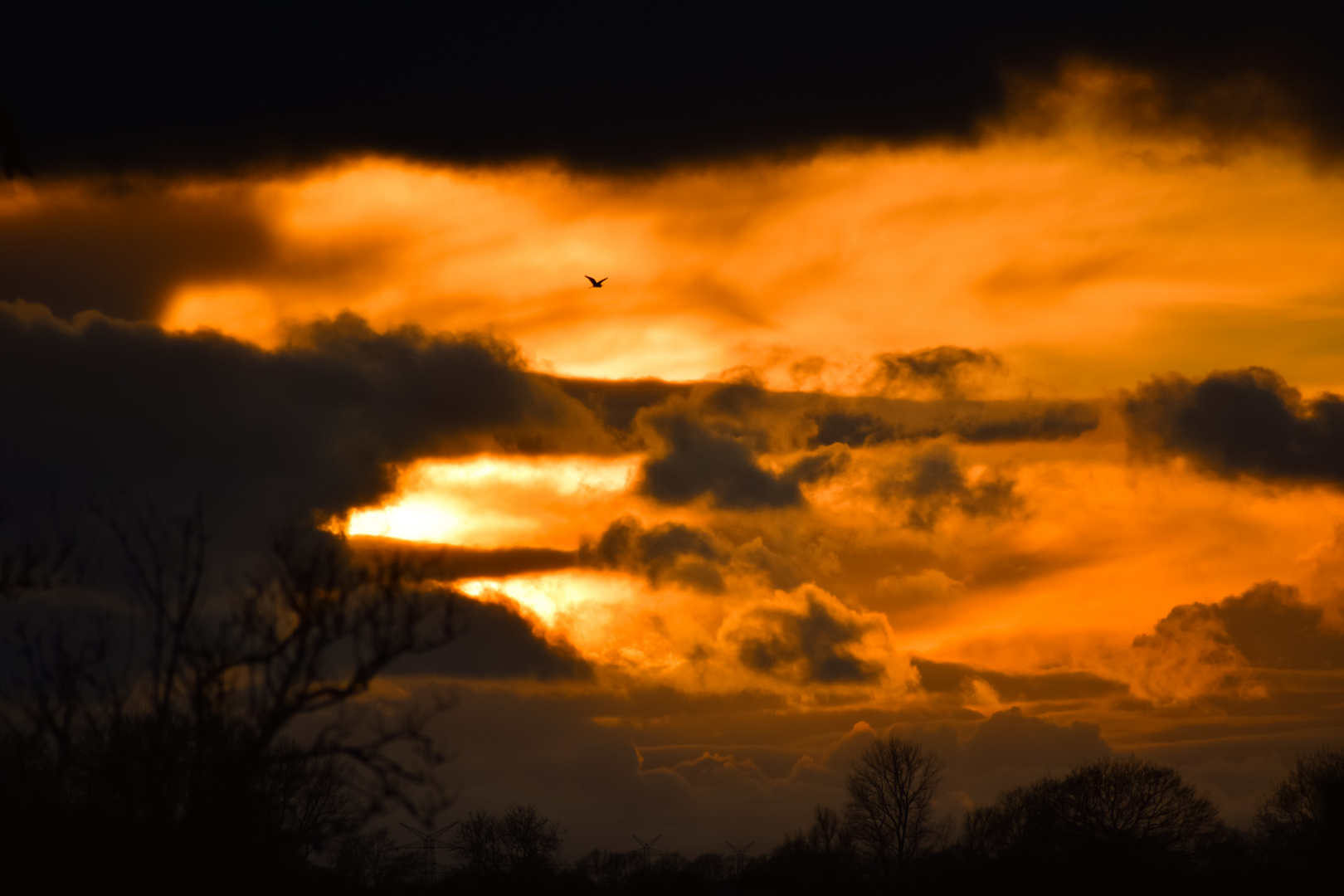 Flug Richtung Sonne