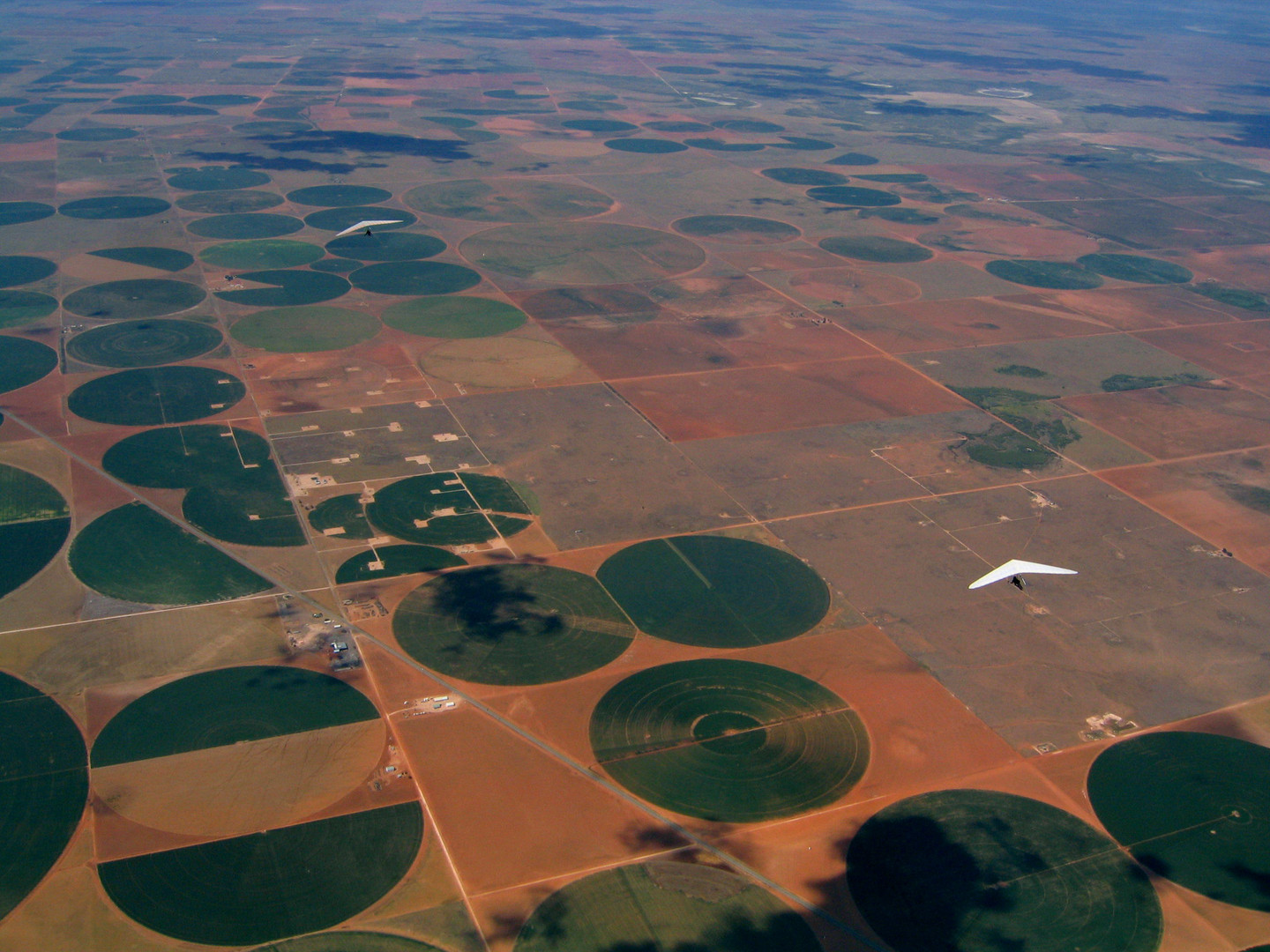 Flug über Baumwollfelder (Cotton Circles) in Texas