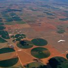 Flug über Baumwollfelder (Cotton Circles) in Texas