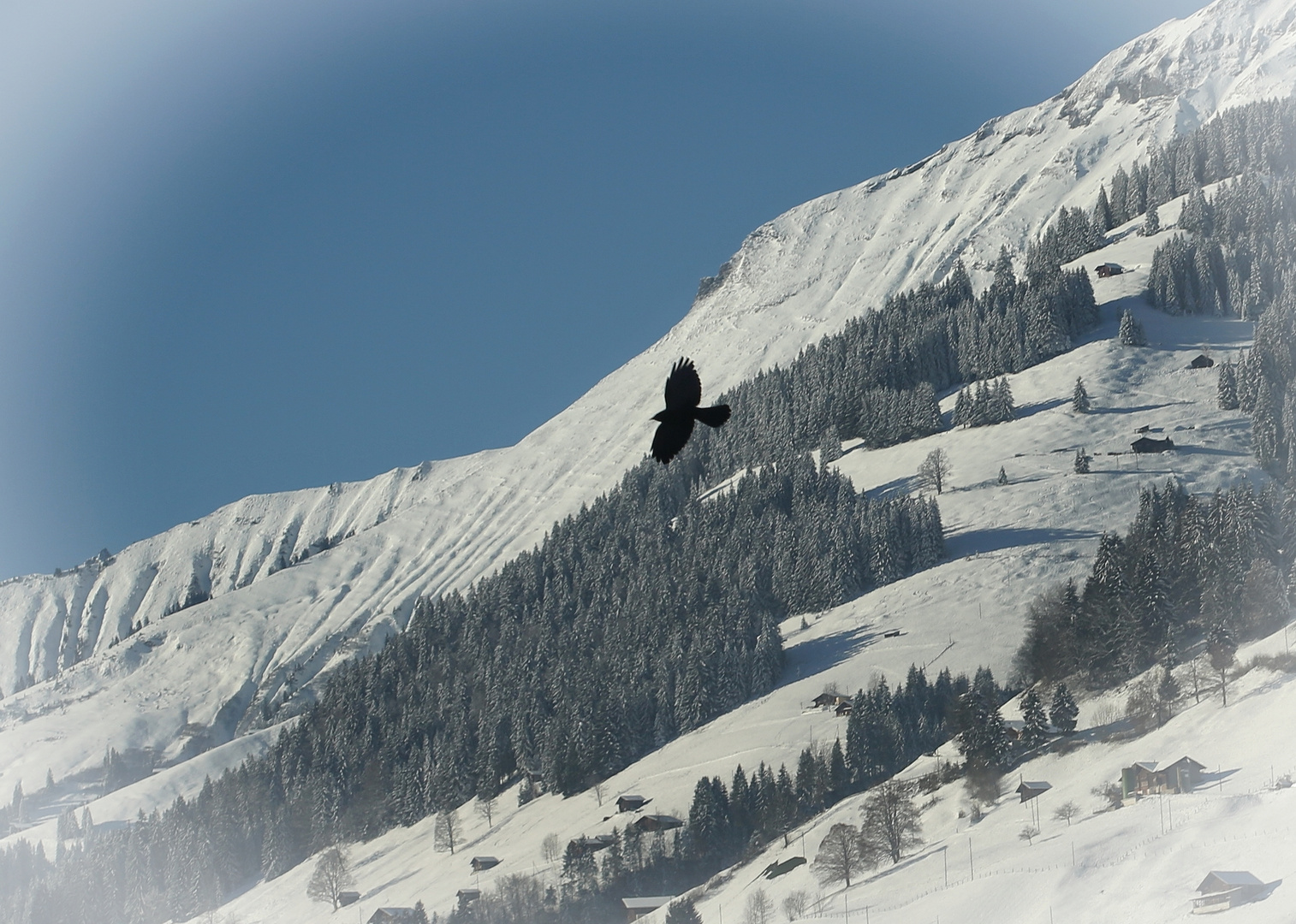 Flug über das Kandertal