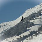 Flug über das Kandertal