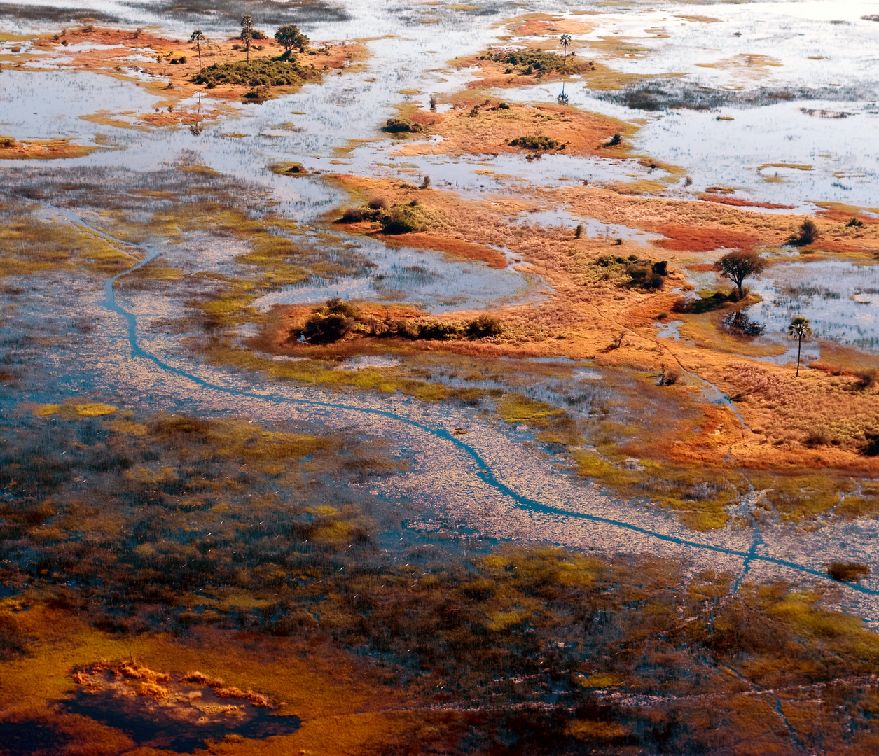 Flug über das Okavangodelta