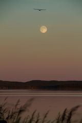 Flug über dem Mond