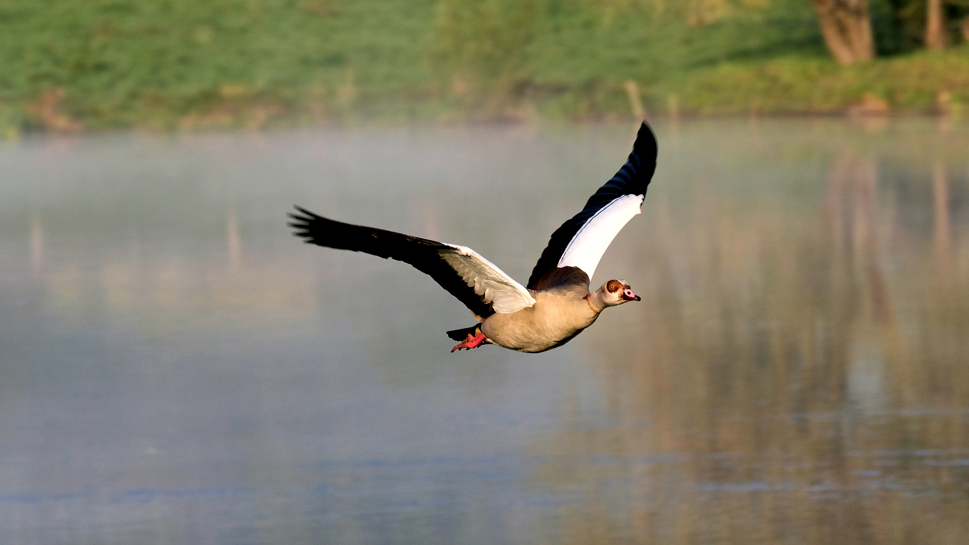 Flug über den Aartalsee