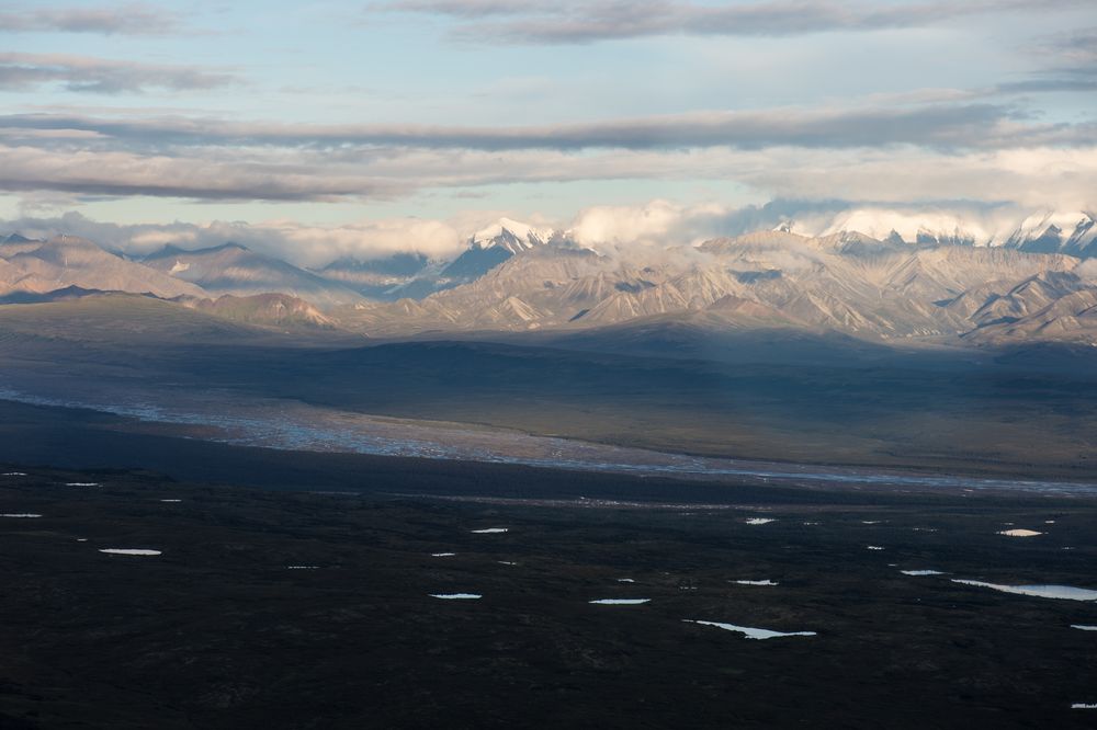 Flug über den Denali NP     DSC_0347