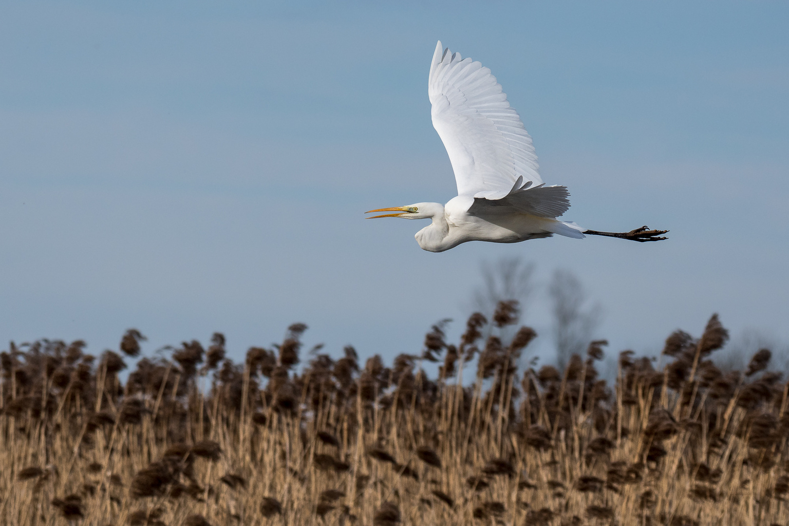 Flug über den Federsee