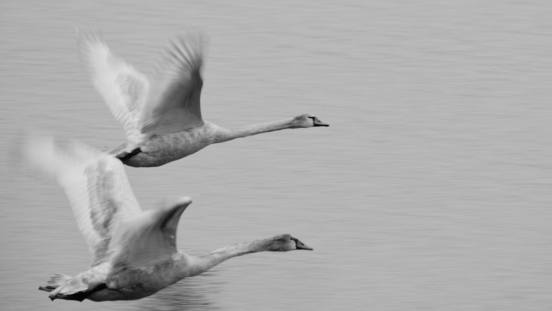 Flug über den See