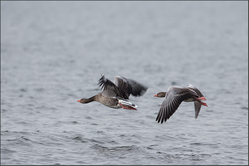 Flug über den See..