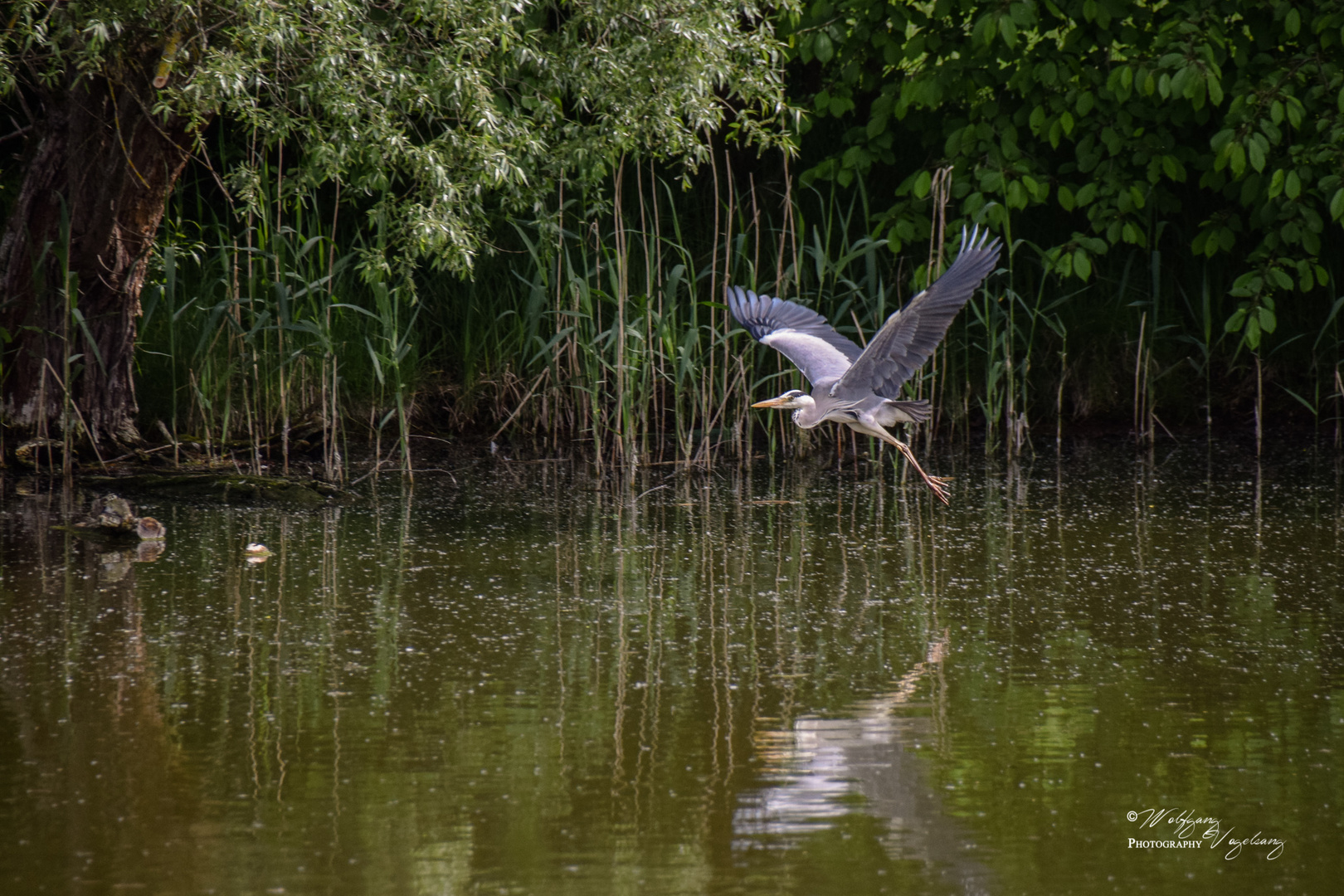 Flug über den Teich