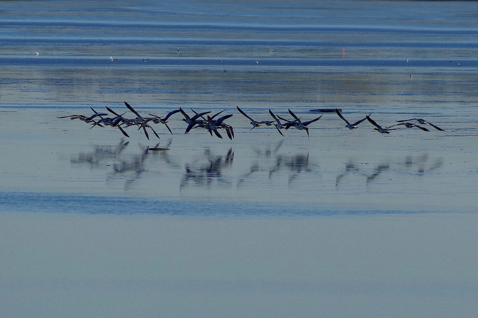 Flug über die blaue Elbe