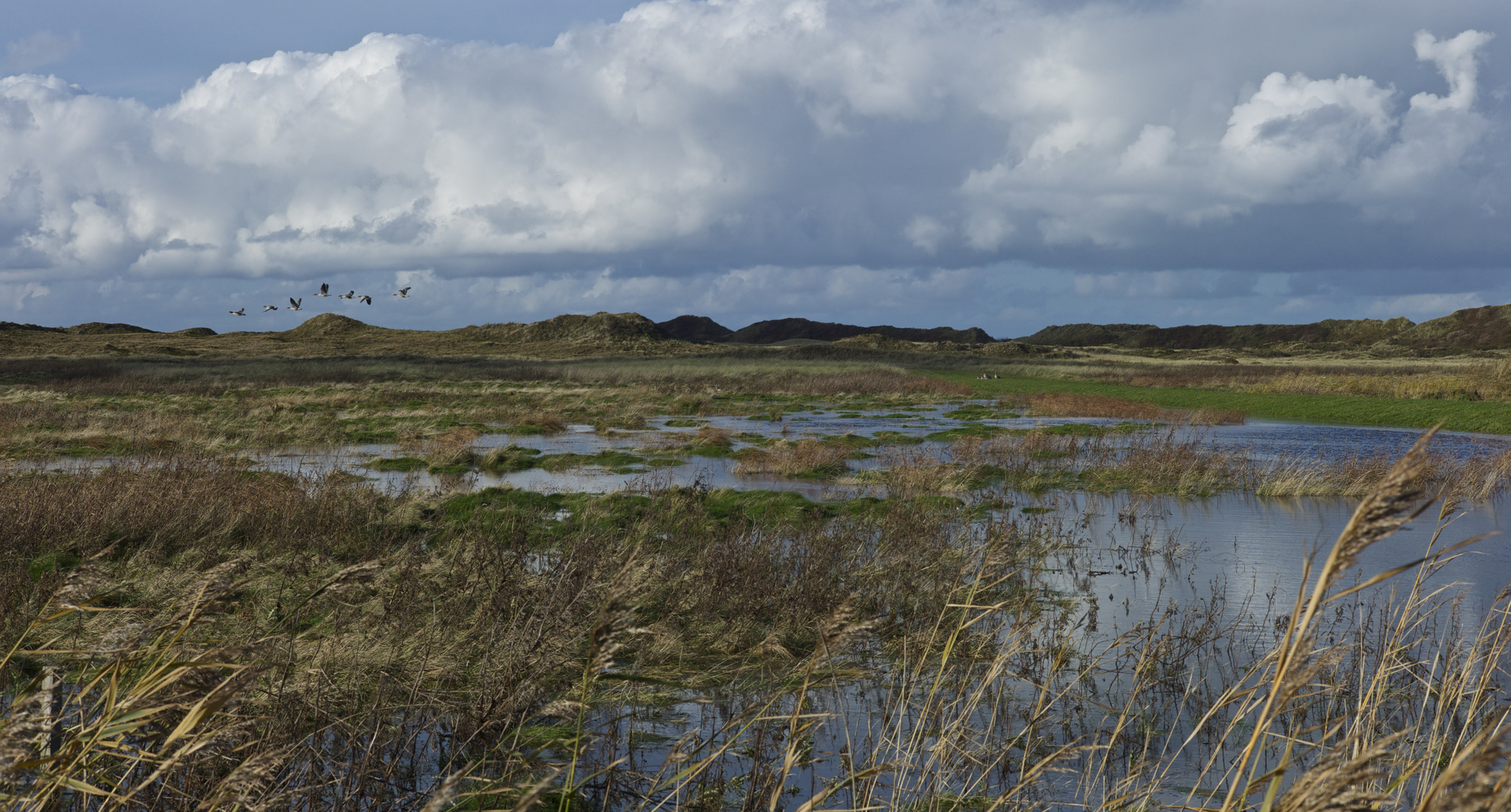 Flug über die Dünen