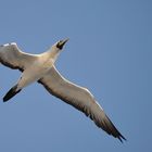 Flug über die Karibik