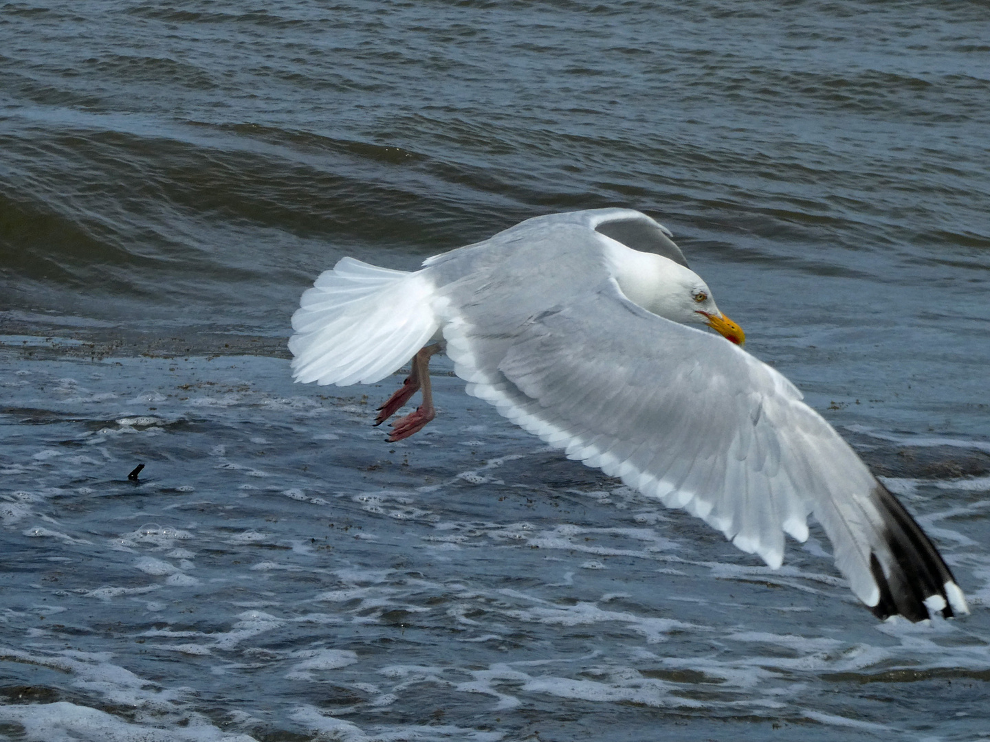 Flug über die Nordsee