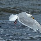 Flug über die Nordsee