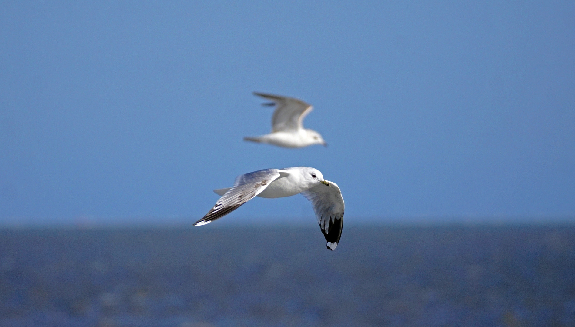 Flug über die Nordsee