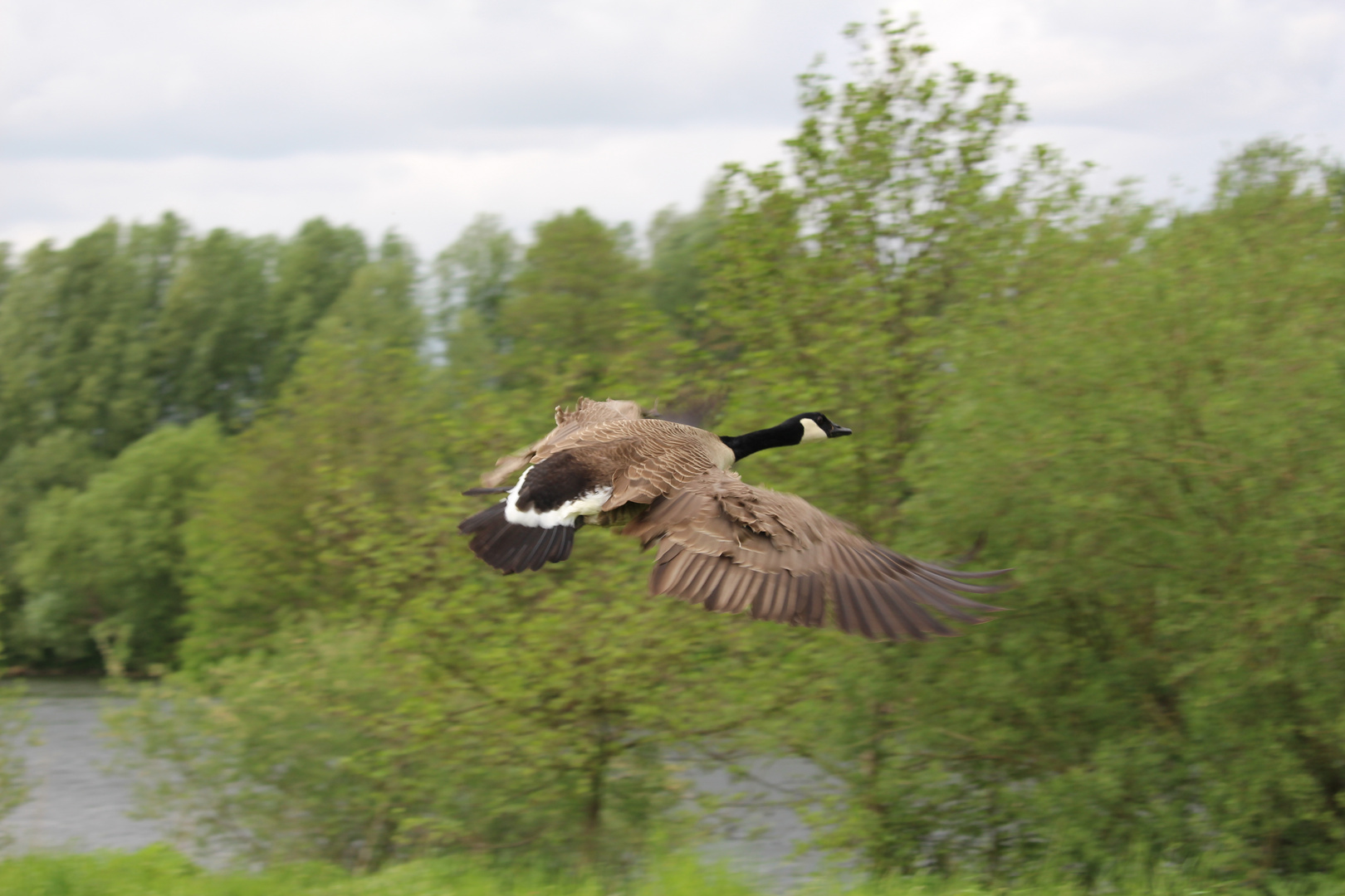 Flug über die Ruhr