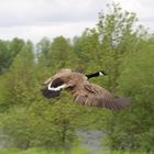 Flug über die Ruhr