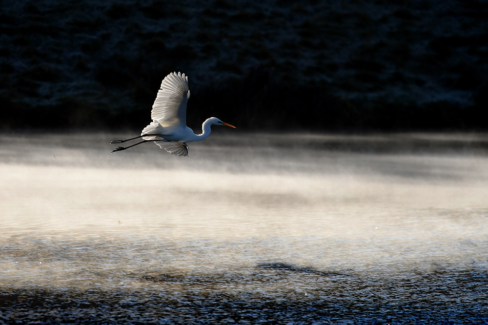 Flug über durch die Dunstschleier 