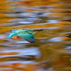 Flug über goldenes Wasser