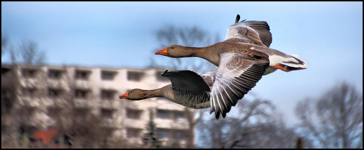 FLUG ÜBER STUTTGART