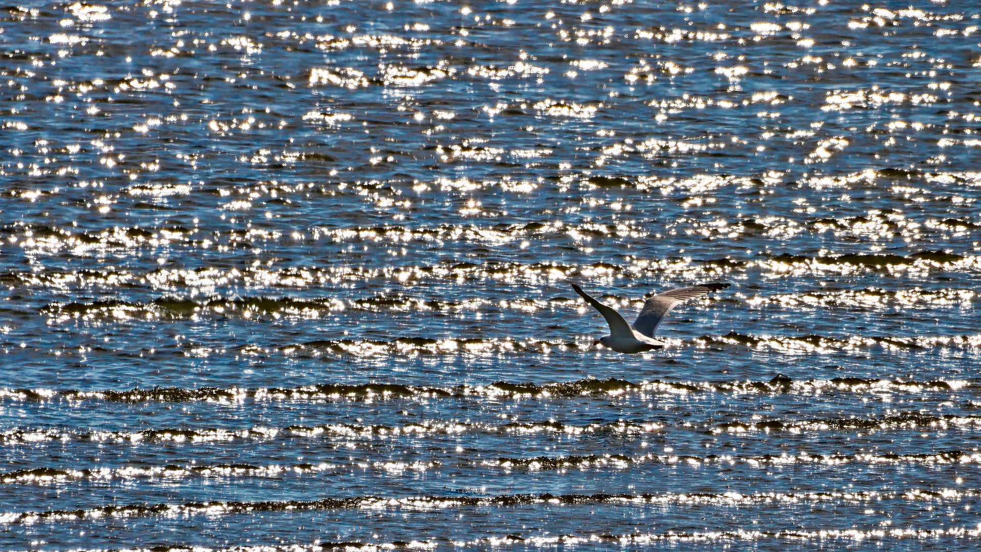 Flug über's Glitzermeer ...