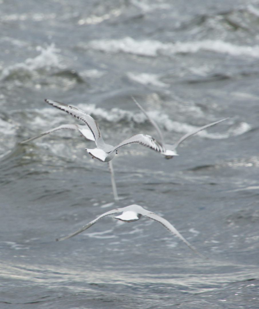 Flug übers Meer