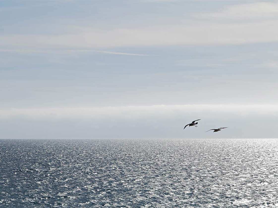 Flug übers Meer / Sorvolare il mare