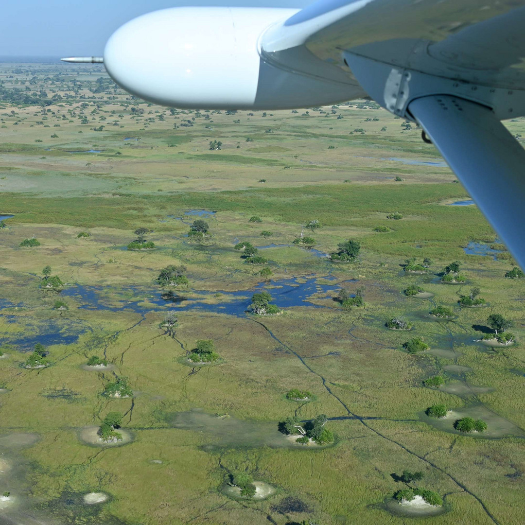 Flug übers Okavango Delta...
