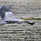 Flug über´s Wasser