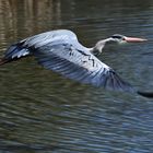 Flug über´s Wasser